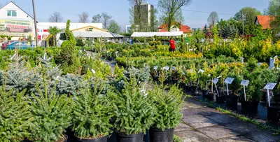 Centrum ogrodnicze Ogrody ResGal